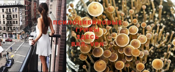 бутират Фурманов