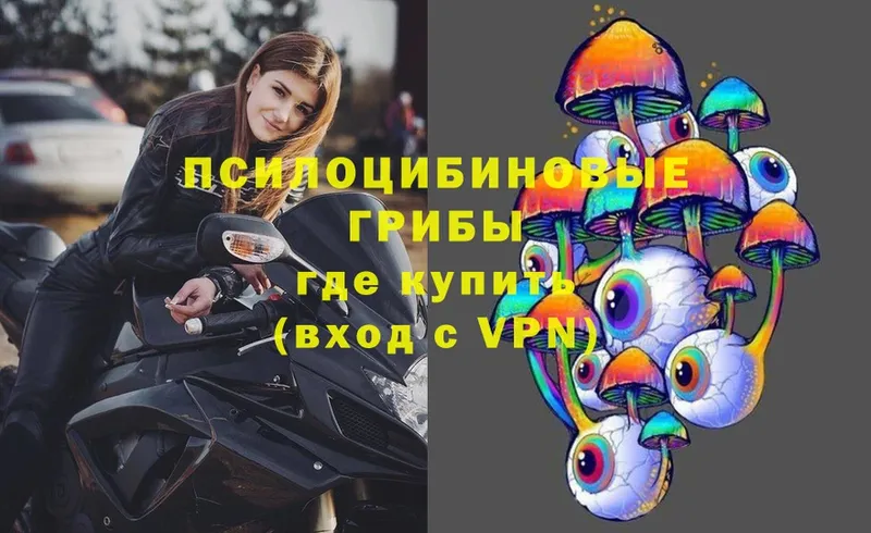 OMG   Власиха  Псилоцибиновые грибы Magic Shrooms 