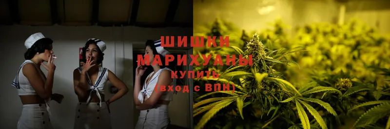 Канабис White Widow  Власиха 